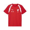Team Final26 Training Jersey-rot